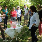 Weinprobe in den Weinbergen