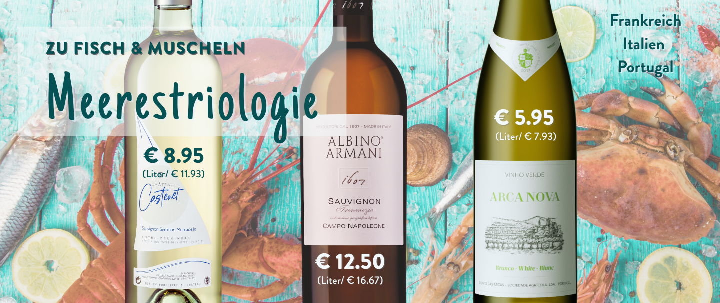 Meerestriologie im Glas bei Wein-Musketier Meerestriologie im Glas bei Wein-Musketier